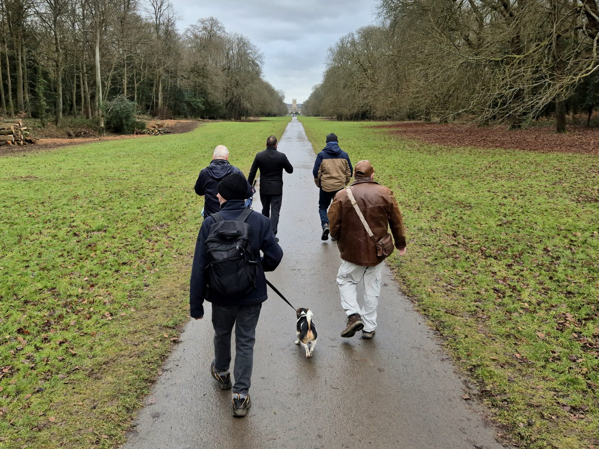 A group of people walking in the park with a dog as part of a wellbeing walk with The Churn Project.